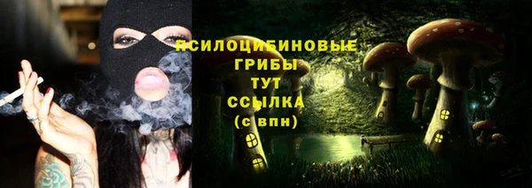 прущие грибы Заволжье