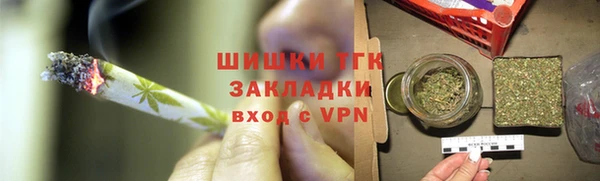 прущие грибы Заволжье