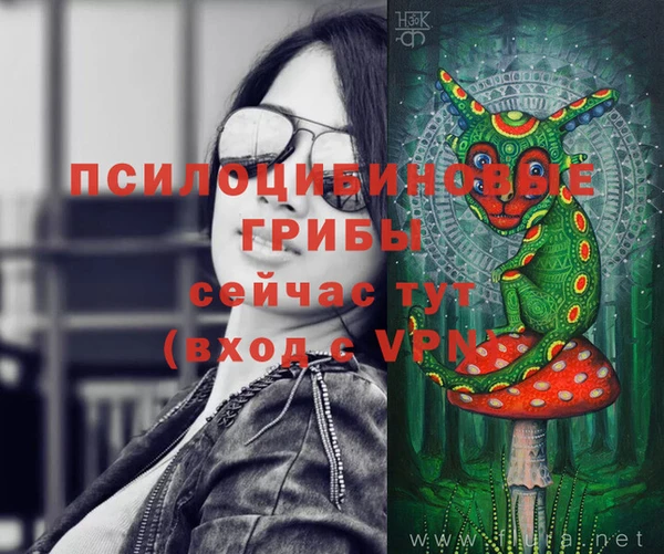 не бодяженный Заводоуковск