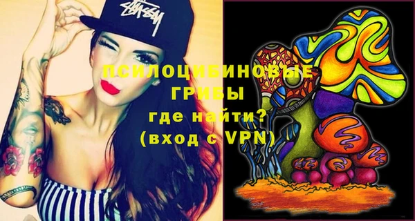 прущие грибы Заволжье