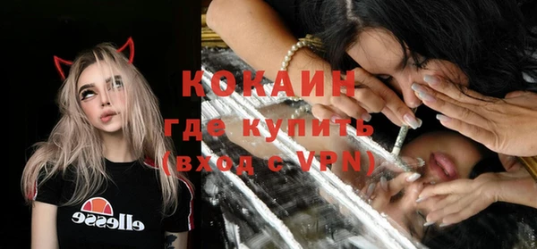 не бодяженный Заводоуковск