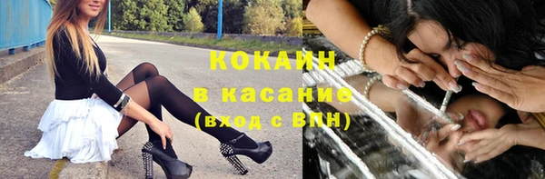прущие грибы Заволжье