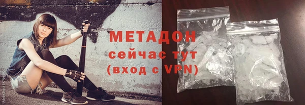 прущие грибы Заволжье