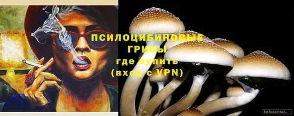 прущие грибы Заволжье