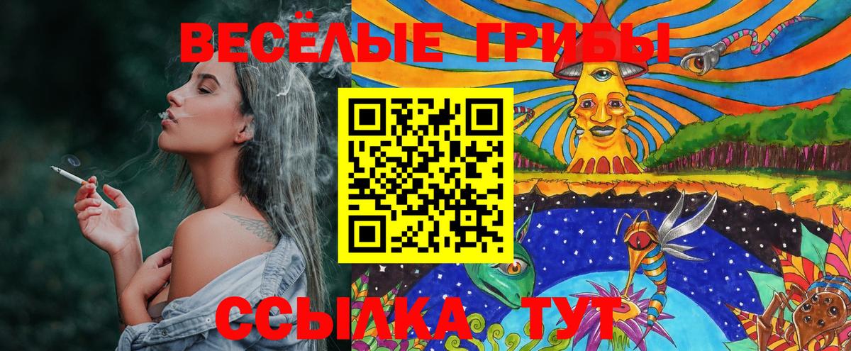 Псилоцибиновые грибы MAGIC MUSHROOMS Томск